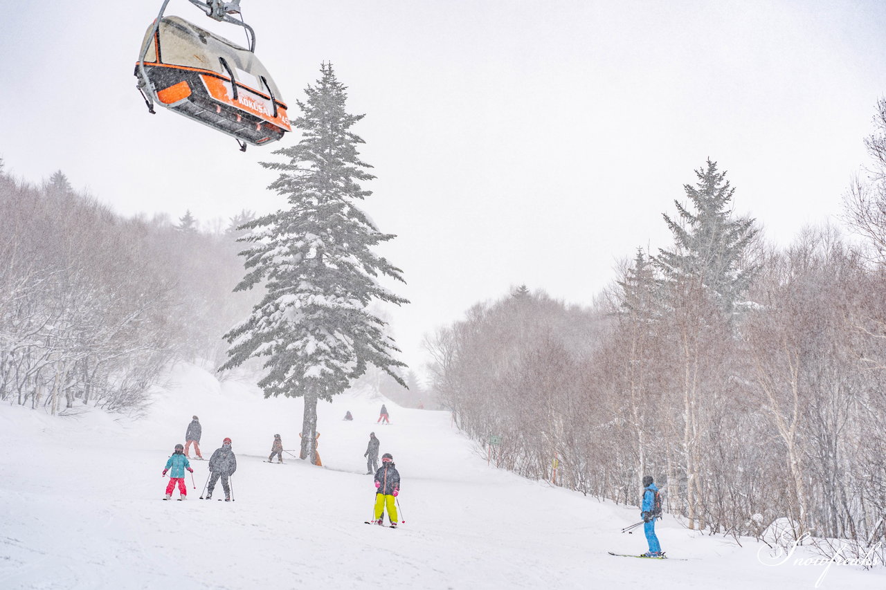 札幌国際スキー場　街は雨でも、山は雪！広々ゲレンデに思う存分シュプールを描こう(^^)/
